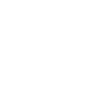 Icon Auto Reinigung