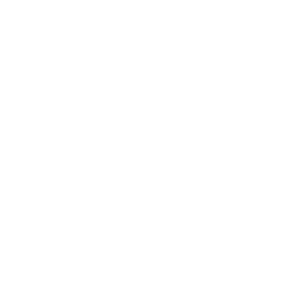 Icon Reparatur